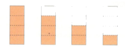 Thử tài bạn 1 trang 11 Tài liệu dạy – học toán 6 tập 2 2