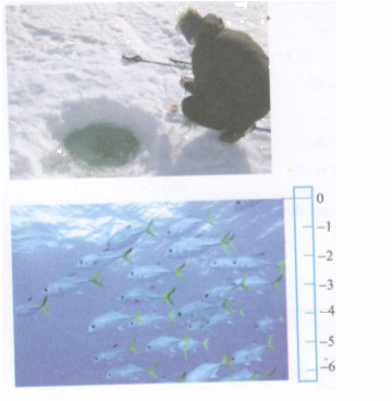 Thử tài bạn 4 trang 12 Tài liệu dạy – học Toán 7 tập 1 1