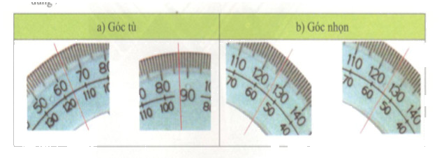 Thử tài bạn 5 trang 95 Tài liệu dạy – học toán 6 tập 2 1