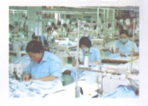 Thử tài bạn trang 135 Tài liệu dạy – học toán 6 tập 1 1