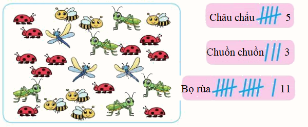 Thu thập - Kiểm đếm 1 2