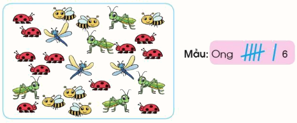 Thu thập - Kiểm đếm 3