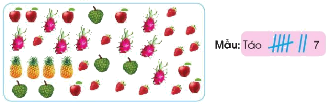 Thu thập - Kiểm đếm 5