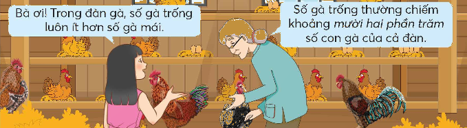 Tỉ số phần trăm là gì? - Toán 5 2