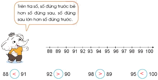 Tia số. Số liền trước, số liền sau 8
