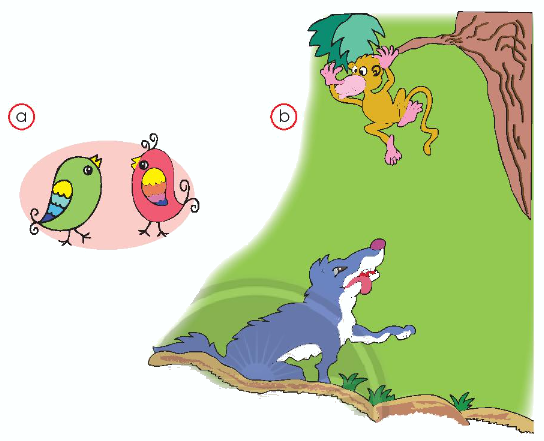 Toán lớp 1 trang 10 - Vị trí - SGK Chân trời sáng tạo 5