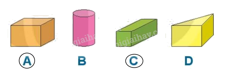 Toán lớp 1 trang 100 bài 40: Ôn tập hình học và đo lường - SGK Kết nối tri thức 4