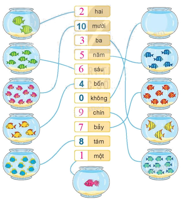 Toán lớp 1 trang 102 - Bài 17: Ôn tập các số trong phạm vi 10 - SGK Kết nối tri thức 0 2