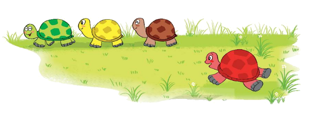 Toán lớp 1 trang 102 - Bài 17: Ôn tập các số trong phạm vi 10 - SGK Kết nối tri thức 10