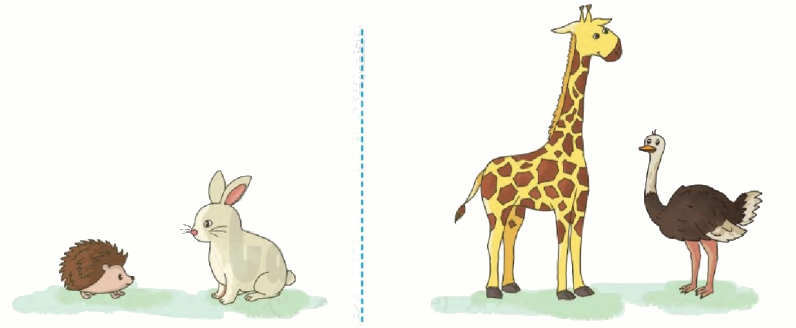 Toán lớp 1 trang 113 - Dài hơn, ngắn hơn - SGK Cánh diều 2 1