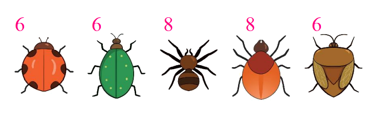 Toán lớp 1 trang 14 - Bài 2: Các số 6, 7, 8, 9, 10 - SGK Kết nối tri thức 11