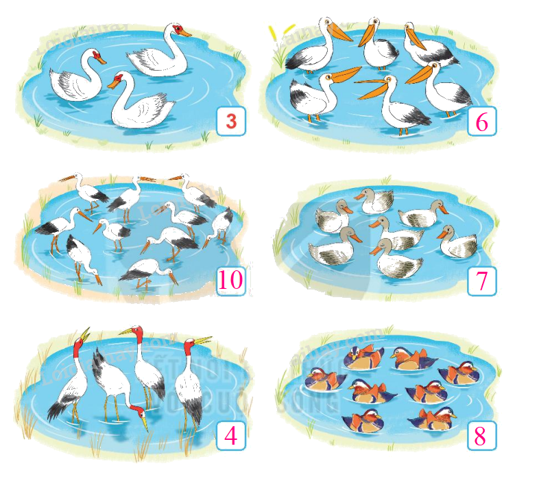 Toán lớp 1 trang 14 - Bài 2: Các số 6, 7, 8, 9, 10 - SGK Kết nối tri thức 3 2