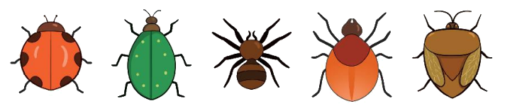 Toán lớp 1 trang 14 - Bài 2: Các số 6, 7, 8, 9, 10 - SGK Kết nối tri thức 5 1