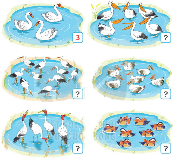 Toán lớp 1 trang 14 - Bài 2: Các số 6, 7, 8, 9, 10 - SGK Kết nối tri thức 6