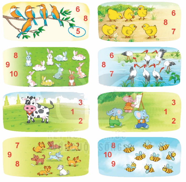 Toán lớp 1 trang 14 - Bài 2: Các số 6, 7, 8, 9, 10 - SGK Kết nối tri thức 7 1