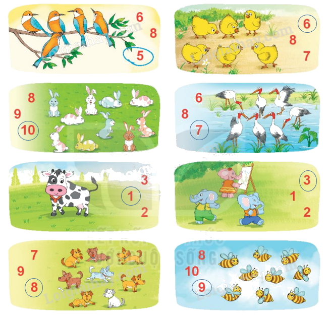 Toán lớp 1 trang 14 - Bài 2: Các số 6, 7, 8, 9, 10 - SGK Kết nối tri thức 7 2