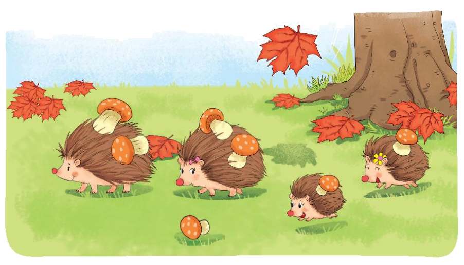 Toán lớp 1 trang 20 - Bài 3: Nhiều hơn, ít hơn, bằng nhau - SGK Kết nối tri thức 5