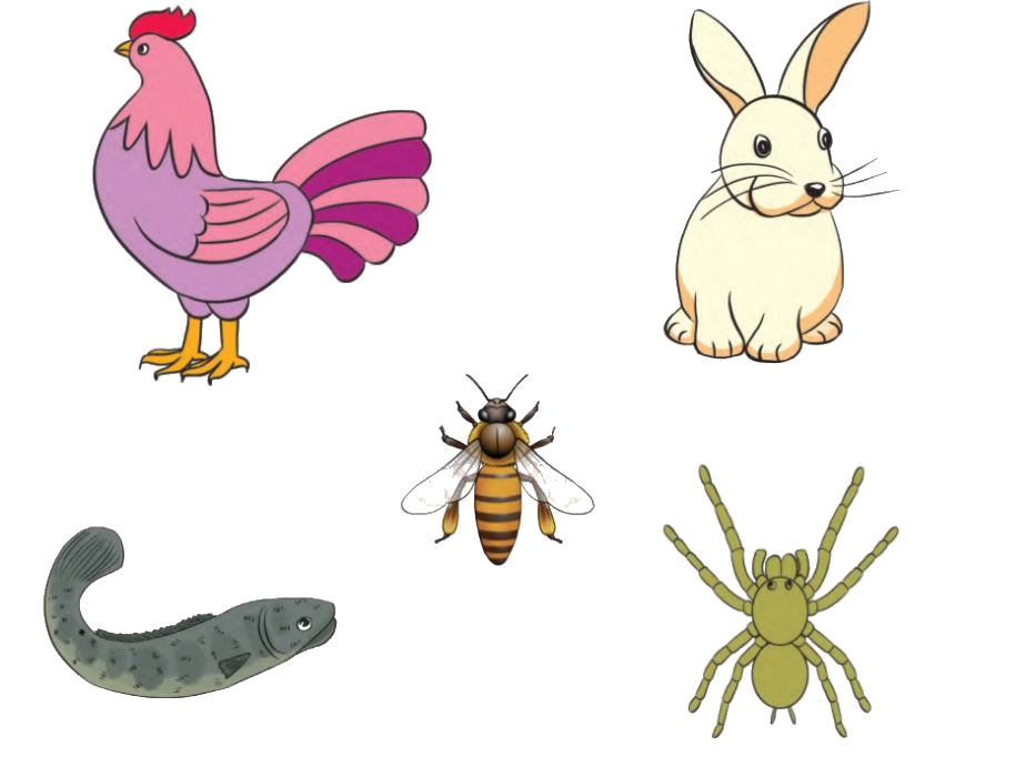 Toán lớp 1 trang 20 - Luyện tập - SGK Cánh diều 6