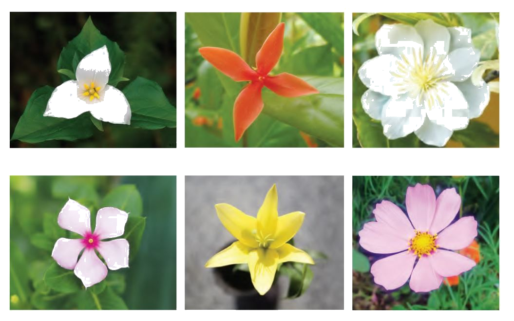 Toán lớp 1 trang 27 - Em ôn lại những gì đã học - SGK Cánh diều 5 1