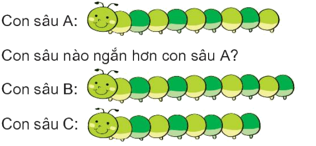 Toán lớp 1 trang 28 - Bài 25: Dài hơn, ngắn hơn - SGK Kết nối tri thức 3