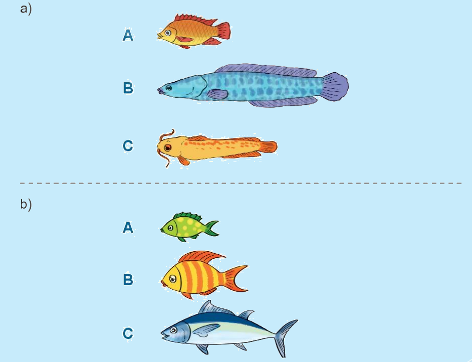 Toán lớp 1 trang 28 - Bài 25: Dài hơn, ngắn hơn - SGK Kết nối tri thức 3 1