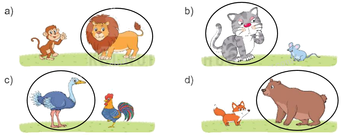 Toán lớp 1 trang 28 - Bài 25: Dài hơn, ngắn hơn - SGK Kết nối tri thức 4 2