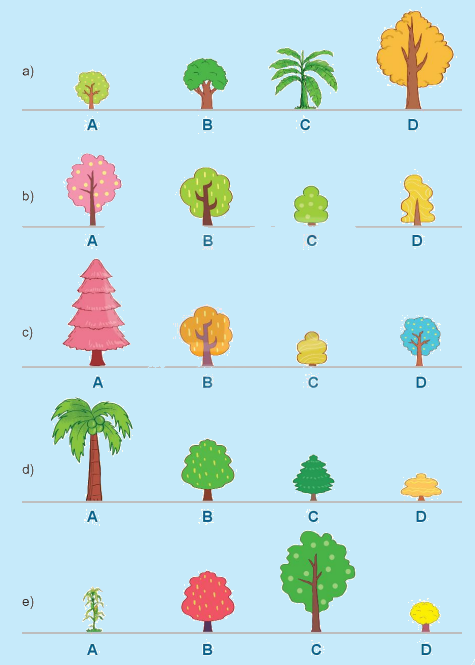 Toán lớp 1 trang 28 - Bài 25: Dài hơn, ngắn hơn - SGK Kết nối tri thức 6 1