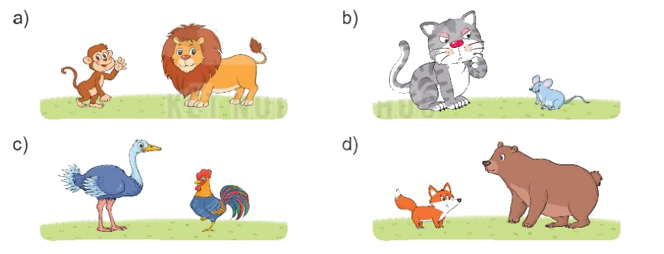 Toán lớp 1 trang 28 - Bài 25: Dài hơn, ngắn hơn - SGK Kết nối tri thức 7