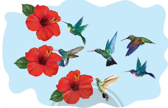 Toán lớp 1 trang 32 - Bằng nhau, nhiều hơn, ít hơn - SGK Chân trời sáng tạo 2 1