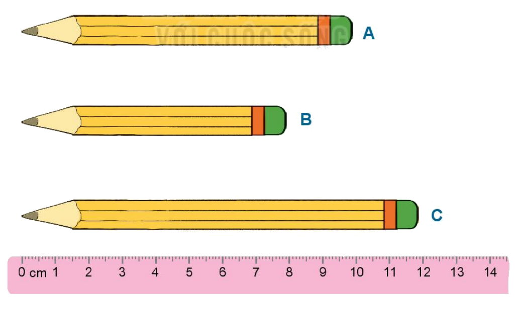 Toán lớp 1 trang 36 - Bài 27: Thực hành ước lượng và đo độ dài - SGK Kết nối tri thức 4 1