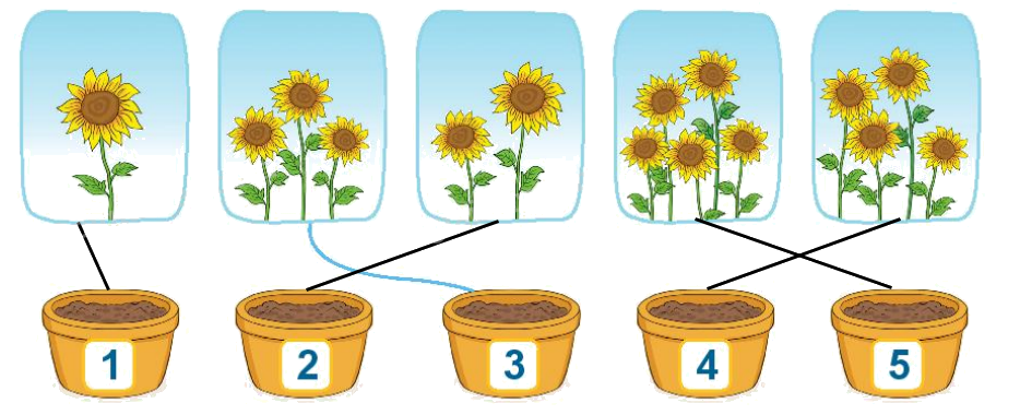 Toán lớp 1 trang 38 - Bài 6: Luyện tập chung - SGK Kết nối tri thức 5