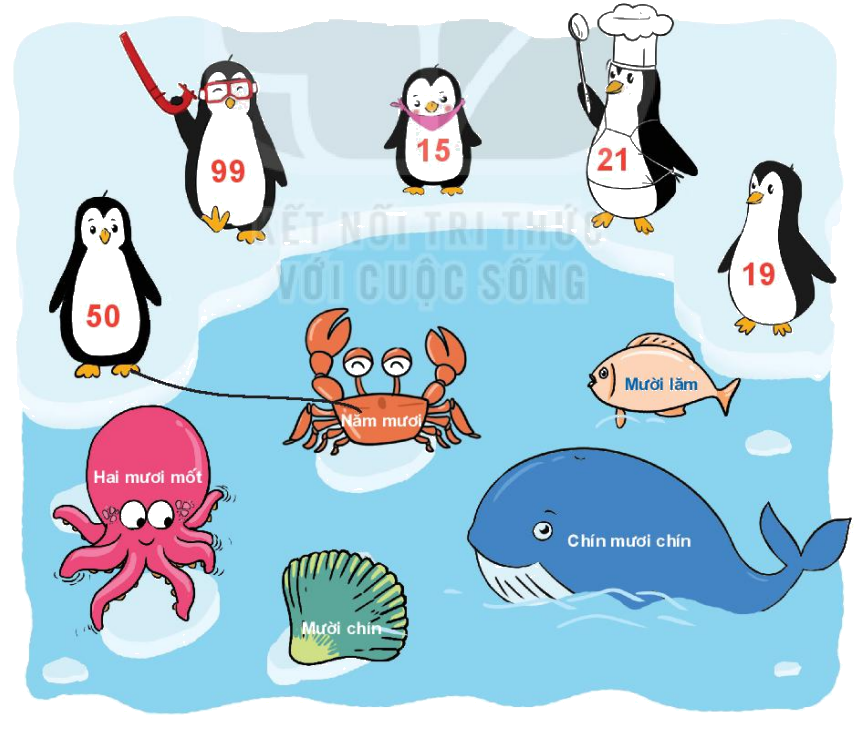 Toán lớp 1 trang 4 - Bài 21: Số có hai chữ số - SGK Kết nối tri thức 11 1