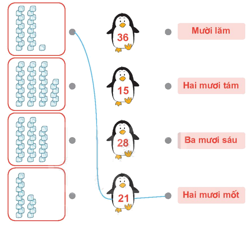 Toán lớp 1 trang 4 - Bài 21: Số có hai chữ số - SGK Kết nối tri thức 14 1