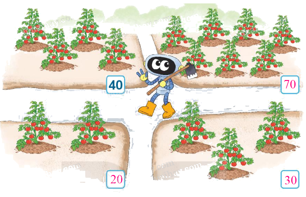 Toán lớp 1 trang 4 - Bài 21: Số có hai chữ số - SGK Kết nối tri thức 15