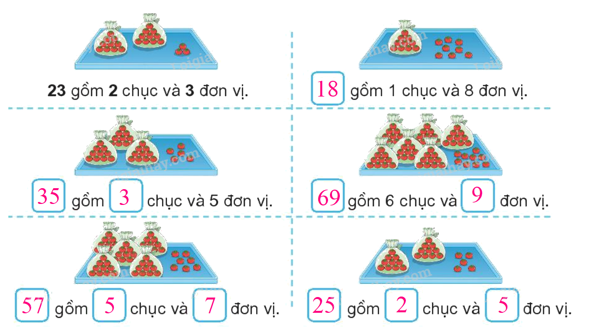 Toán lớp 1 trang 4 - Bài 21: Số có hai chữ số - SGK Kết nối tri thức 19