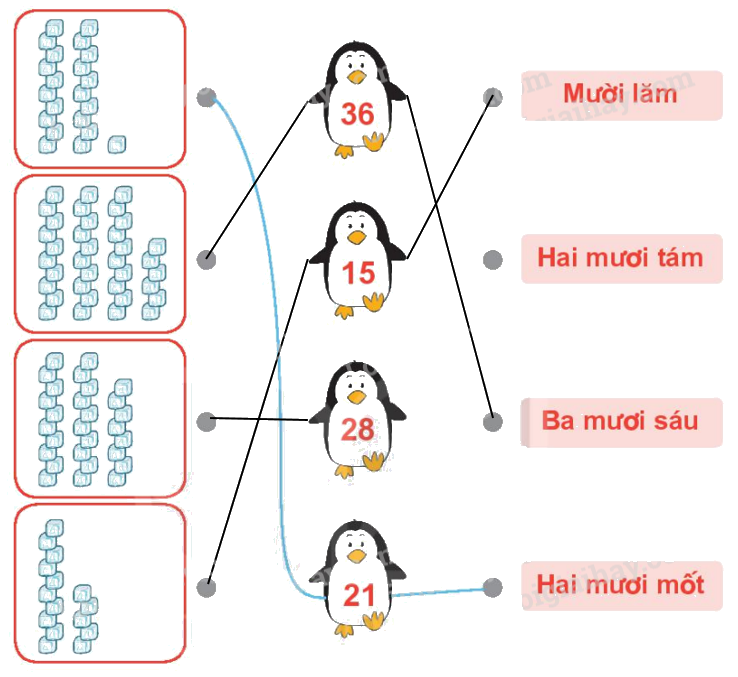 Toán lớp 1 trang 4 - Bài 21: Số có hai chữ số - SGK Kết nối tri thức 28