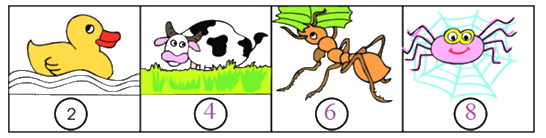 Toán lớp 1 trang 42 - Số 8 - SGK Chân trời sáng tạo 6 2