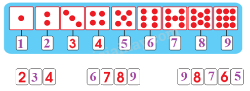 Toán lớp 1 trang 44 - Số 9 - SGK Chân trời sáng tạo 5