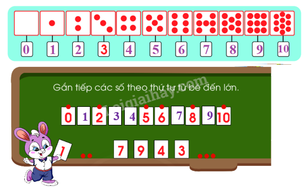 Toán lớp 1 trang 47 - Số 10 - SGK Chân trời sáng tạo 3 2