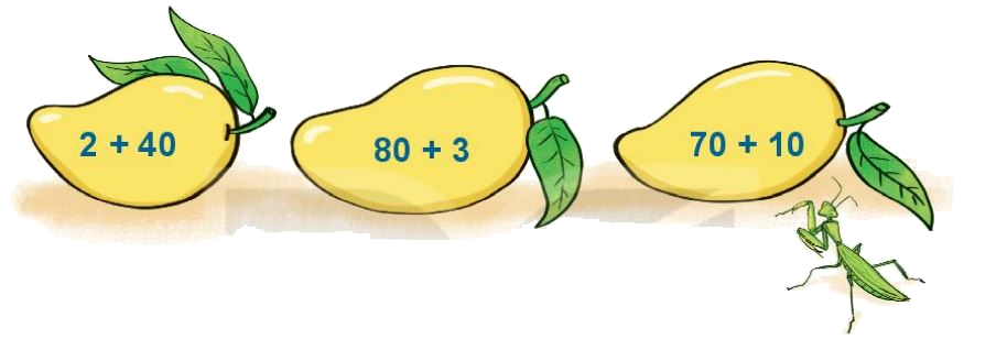 Toán lớp 1 trang 48 - Bài 30: Phép cộng có hai chữ số với số có hai chữ số - SGK Kết nối tri thức 11