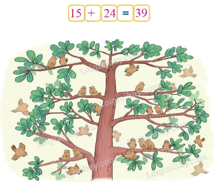 Toán lớp 1 trang 48 - Bài 30: Phép cộng có hai chữ số với số có hai chữ số - SGK Kết nối tri thức 6 2