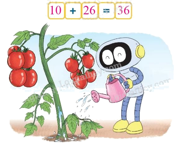 Toán lớp 1 trang 48 - Bài 30: Phép cộng có hai chữ số với số có hai chữ số - SGK Kết nối tri thức 8