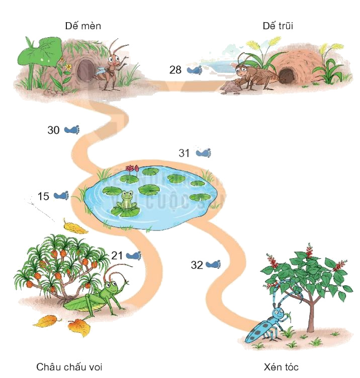 Toán lớp 1 trang 64- Bài 33: Luyện tập chung - SGK Kết nối tri thức 15
