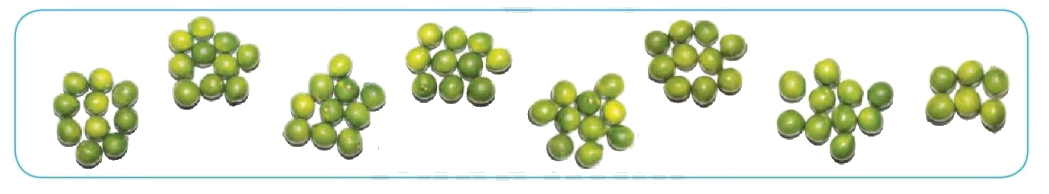 Toán lớp 1 trang 71 - Các số có hai chữ số (Từ 71 đến 99) - SGK Cánh diều 3