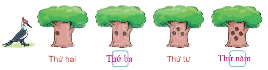 Toán lớp 1 trang 77 bài 35: Ngày trong tuần - SGK Kết nối tri thức 1 2