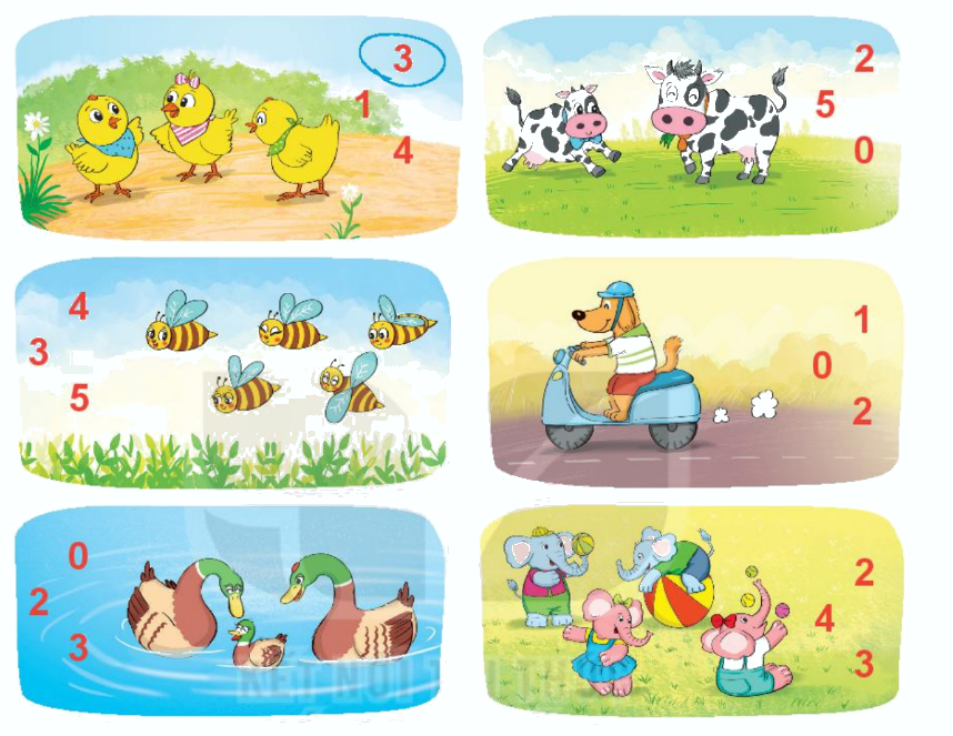 Toán lớp 1 trang 8 - Bài 1: Các số 0, 1, 2, 3, 4, 5 - SGK Kết nối tri thức 12