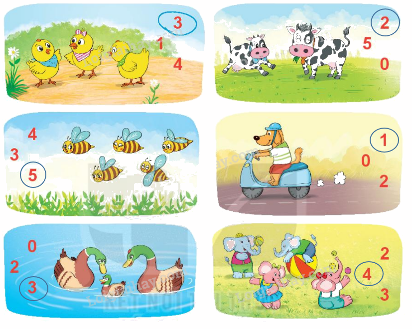 Toán lớp 1 trang 8 - Bài 1: Các số 0, 1, 2, 3, 4, 5 - SGK Kết nối tri thức 7 2