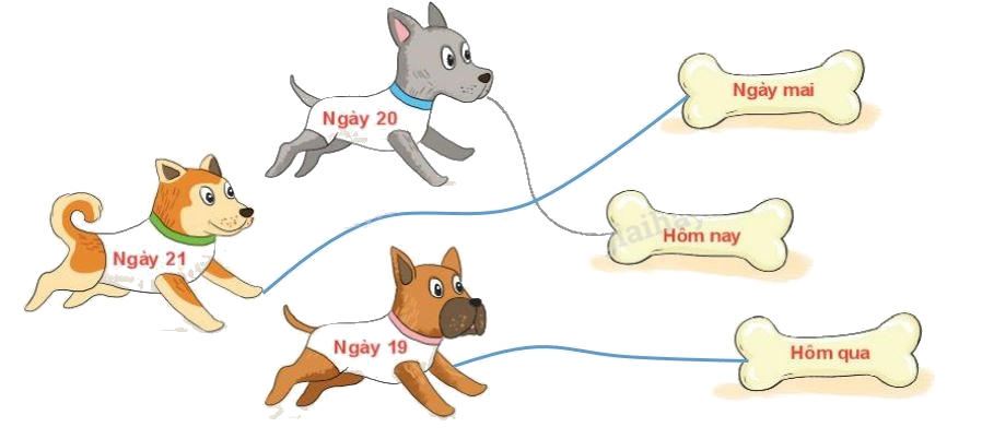 Toán lớp 1 trang 80 bài 36: Thực hành xem lịch và giờ - SGK Kết nối tri thức 5