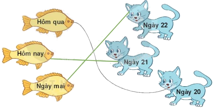 Toán lớp 1 trang 80 bài 36: Thực hành xem lịch và giờ - SGK Kết nối tri thức 6