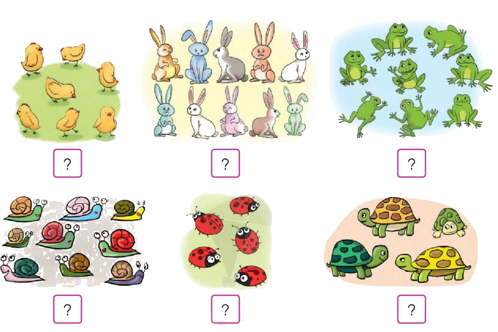 Toán lớp 1 trang 82 - Ôn tập - SGK Cánh diều 1